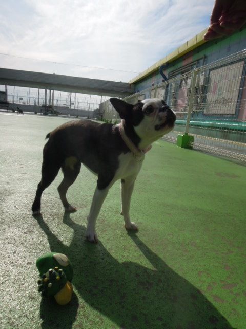 DSCN8996