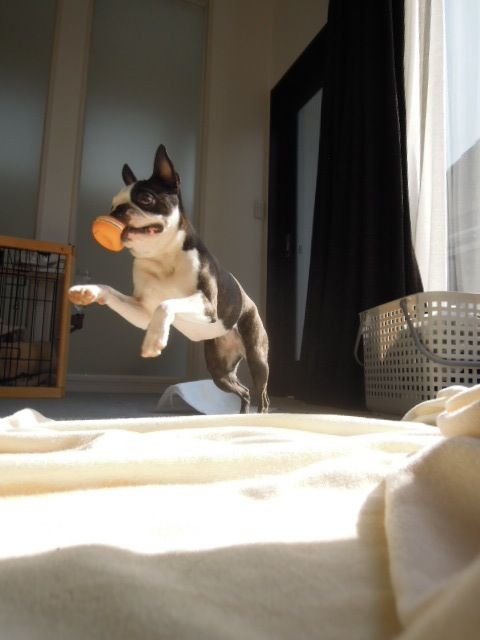 DSCN9139