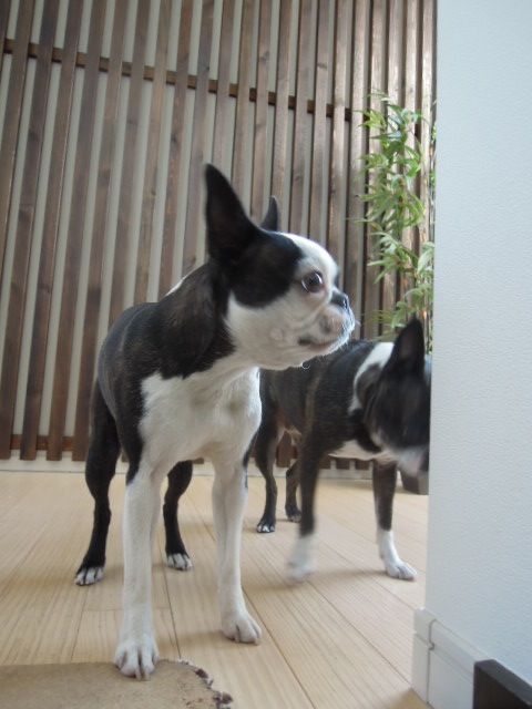DSCN9042