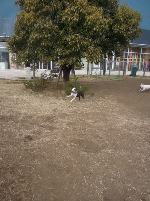 DSCN9550
