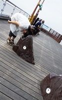 食べられる~1