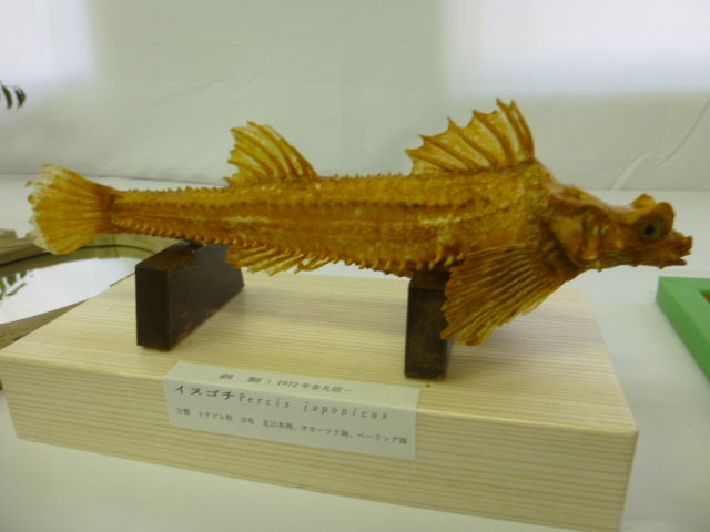 P1110157