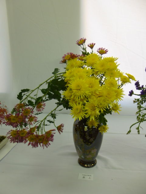 P1110155