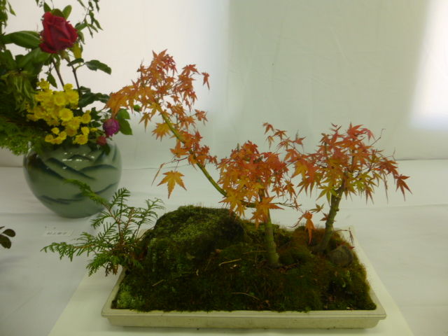 P1110154