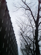 d132c198.jpg