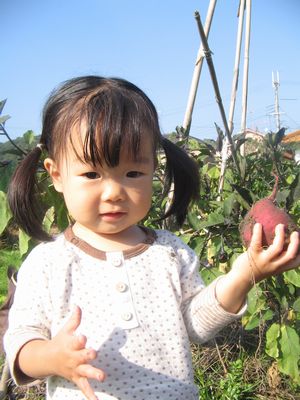 momo3204-2