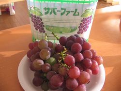 ぶどう