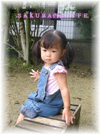 momo2690-2