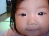 6c95a1cd.jpg