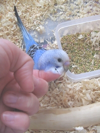7149
