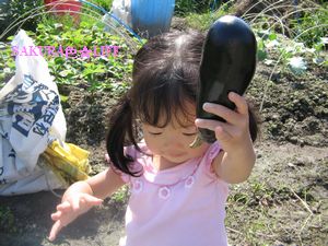 もも2806