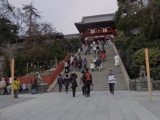 RIMG0805