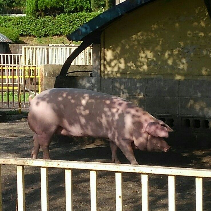 KIMG0941