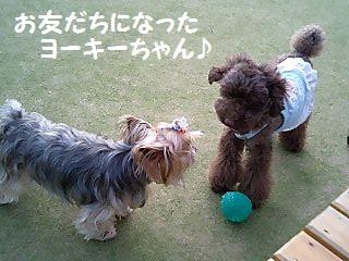 �衼����