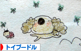 トイプードル村