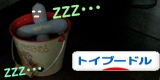 トイプードル村