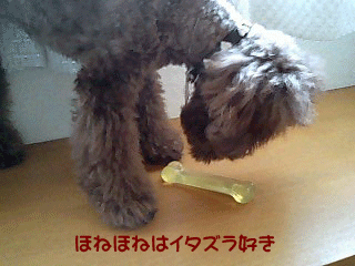 イタズラ
