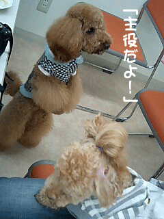 主役