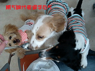 勝ち組