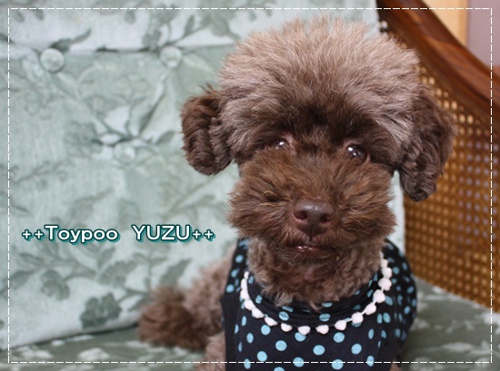 �ȥ��ס��ɥ롡�椺