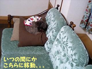 �椺��