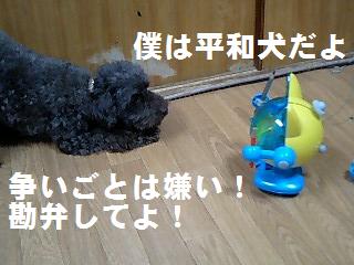 ʿ�¸�