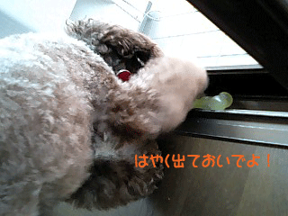 はやく