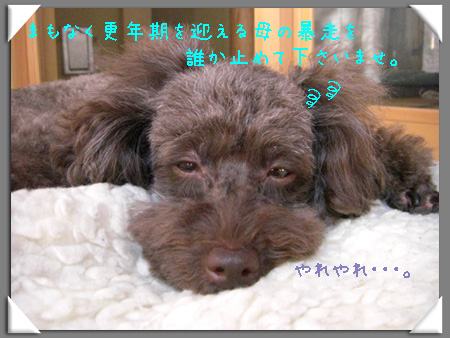 誰か止めて!