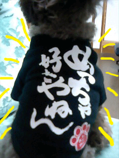 好き