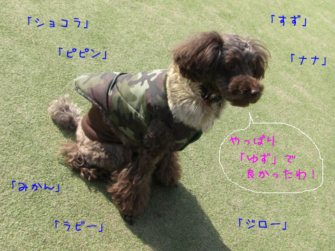 �椺�椺