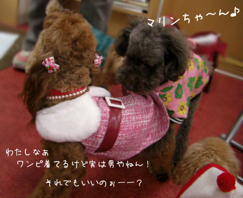2プー