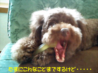 こんなことまで