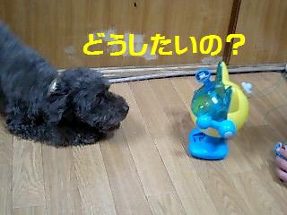�ɤ��������Ρ�