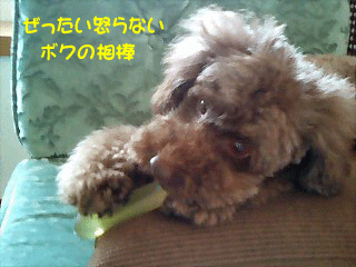 おこらない