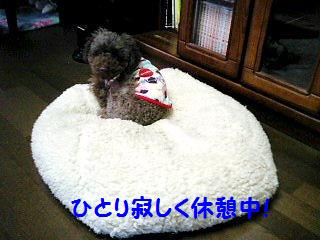 �椺��