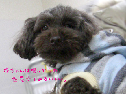 ゆず