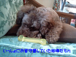 留守番