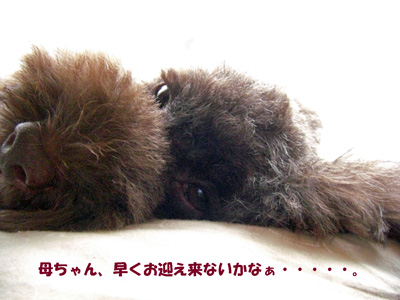 早く