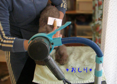 お尻