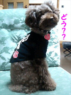 どう?