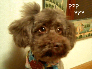 ?1