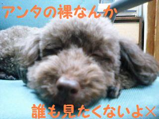 ���󥿤���ʤ�ơ�����
