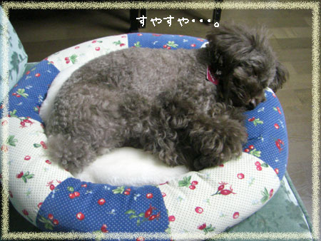 ���䤹��