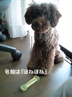名前は