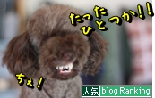 犬ブログランキング
