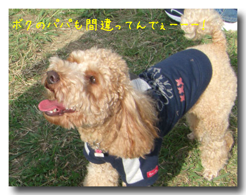�ޤ�����