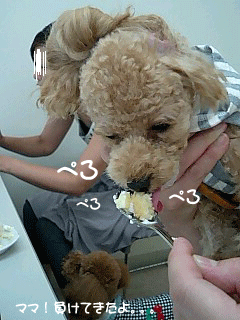 ペロペロ