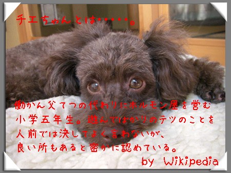 チエちゃんとは・・・