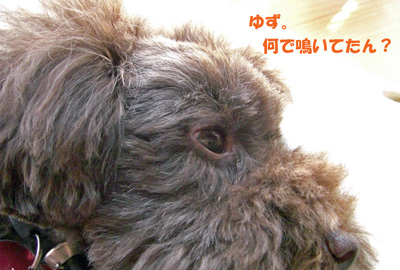 何で?