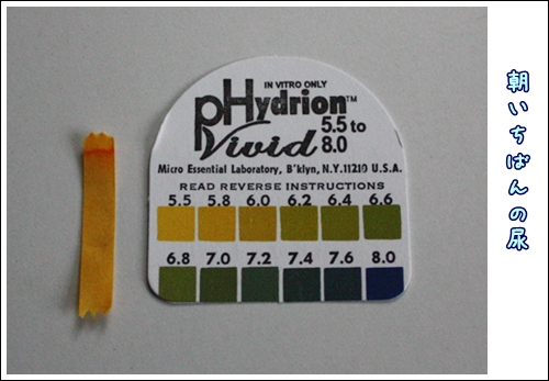 PH �����å���